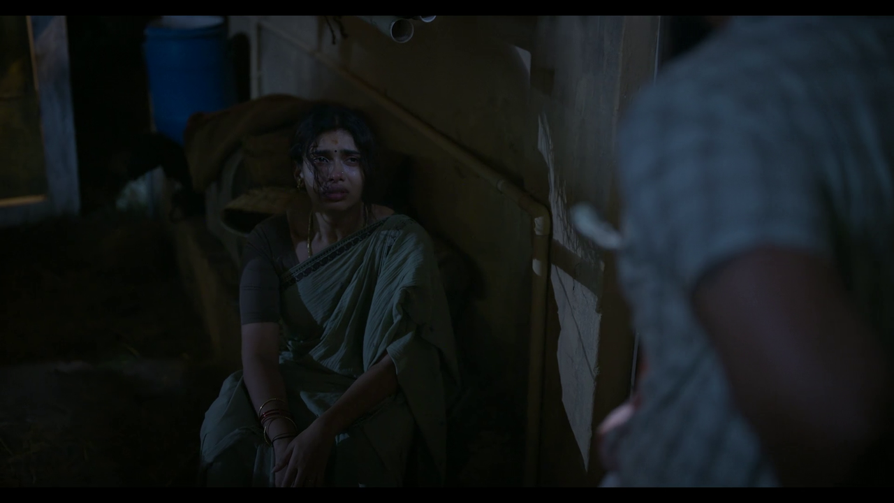 vlcsnap-2025-04-24-21h20m39s410