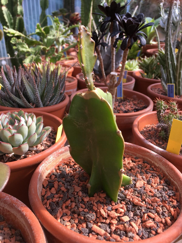 WhatsApp Image 2019-06-24 at 17.06.42