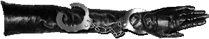 gray 44