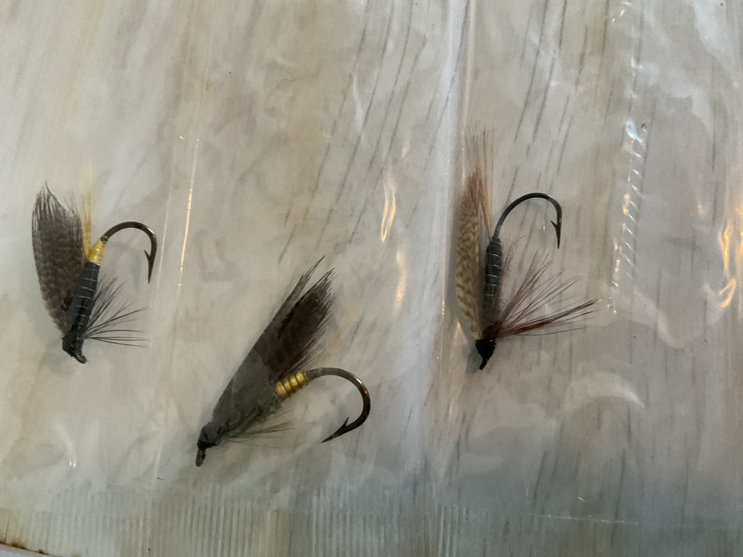 4D6E4332-9EC0-42AF-A82F-CE138E0D8B6D