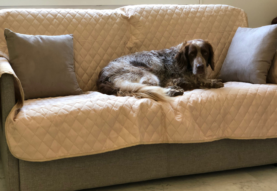 746A7560-02F9-4A77-B12B-CCEC2B81408B