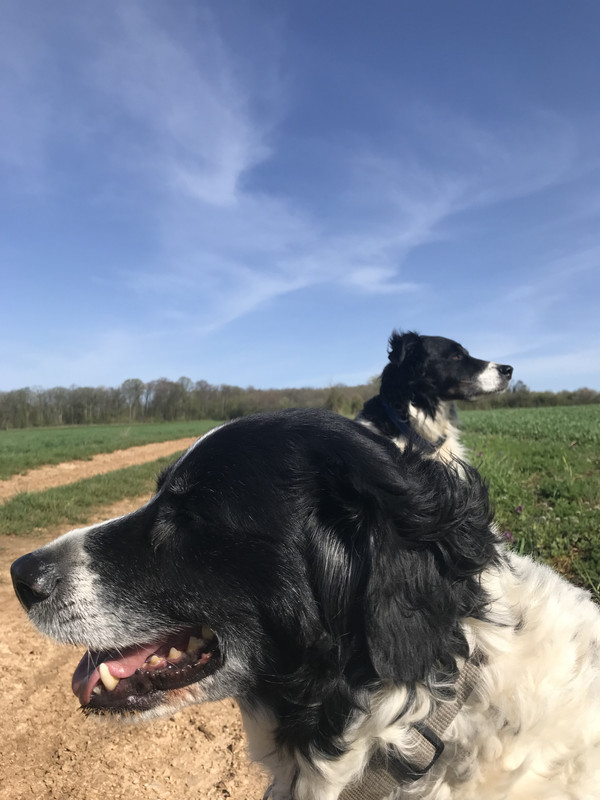 C80BB435-92B6-4941-AC73-1217710806C9