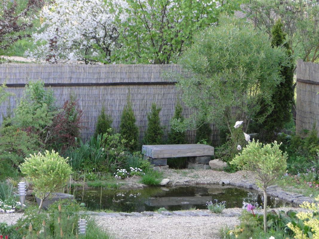 DSC05875