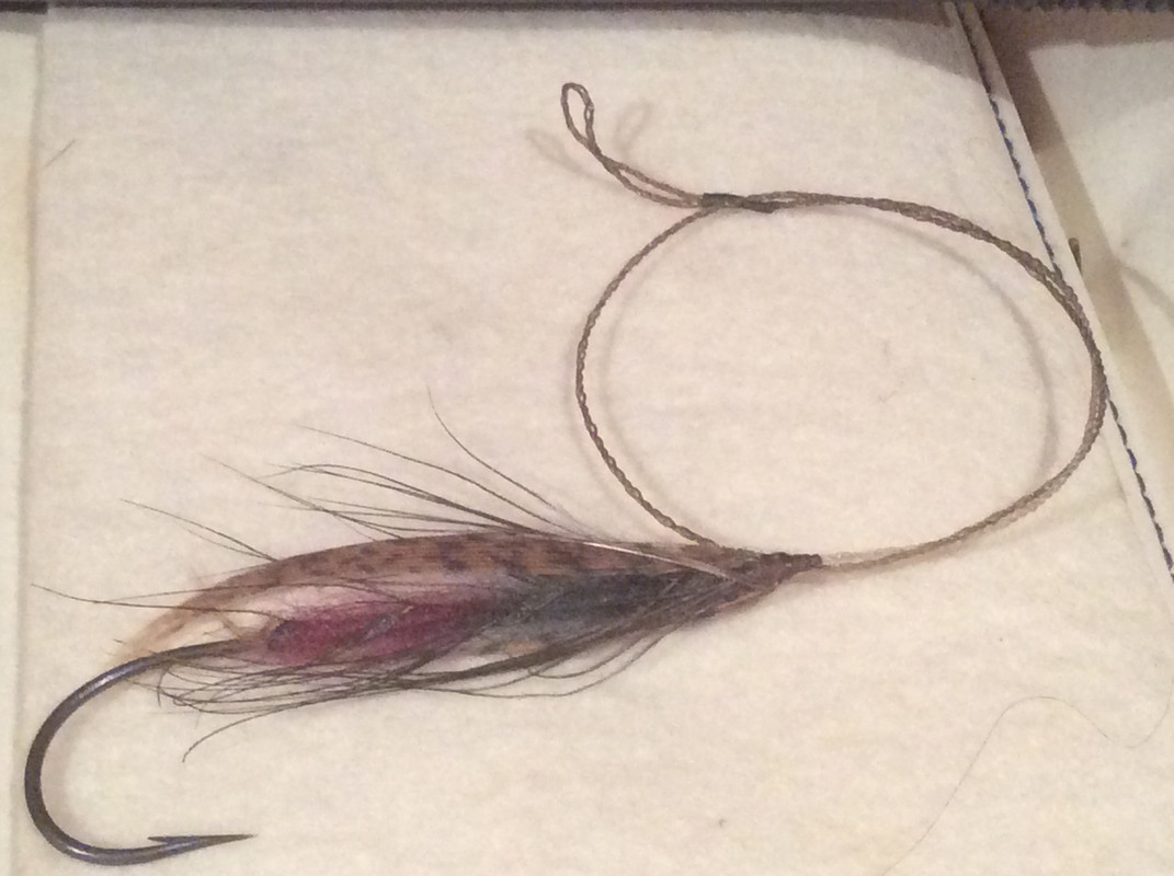 1959A488-DFD1-4D14-8819-D2CC09E56FC9