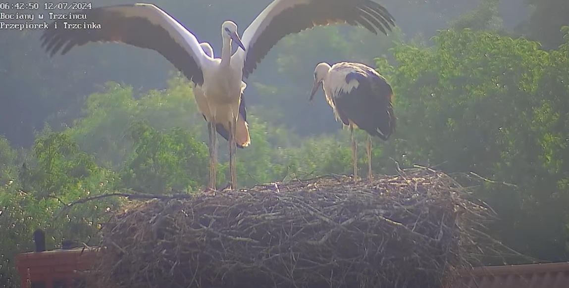 rozkladamskrzydladolotu