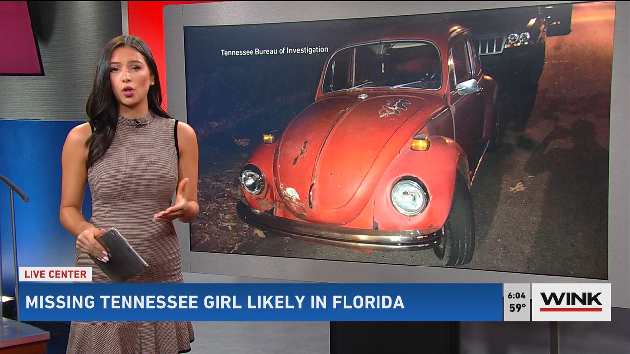 03.13 - 11.00.00 - WINK News @ 6 00am..ts_snapshot_00.04.38.215