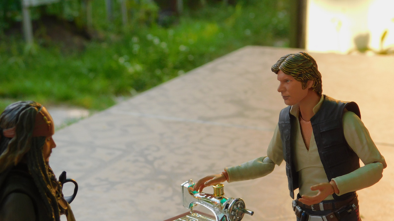 Дачно-Харлинский июнь-июль 2024 115