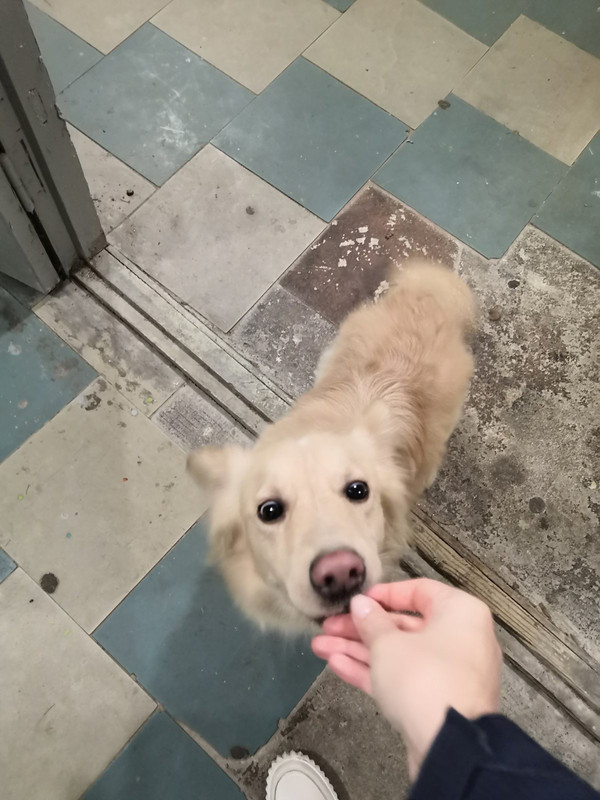 4B60FBC6-E563-4F7F-9359-762C2824810B