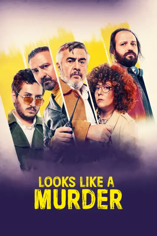 Looks Like A Murder Poster