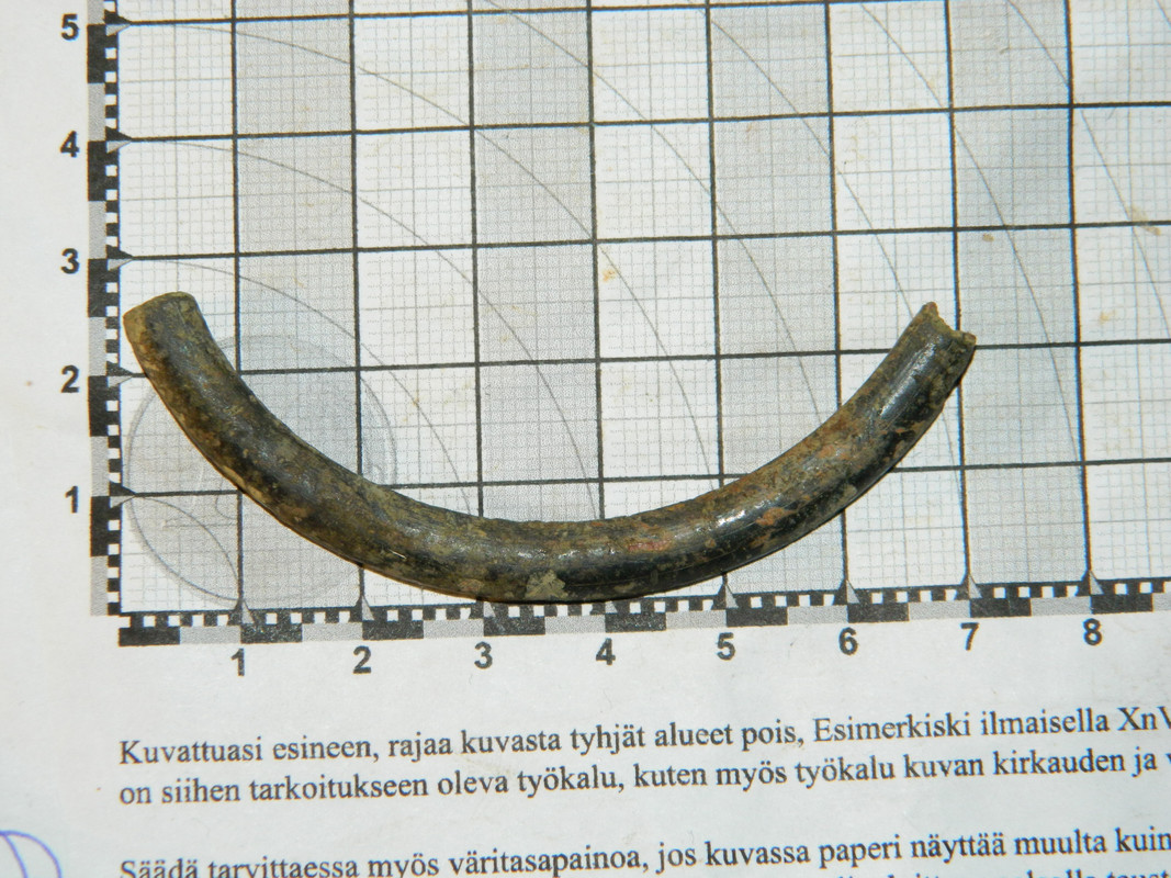 pronssikiekura 013