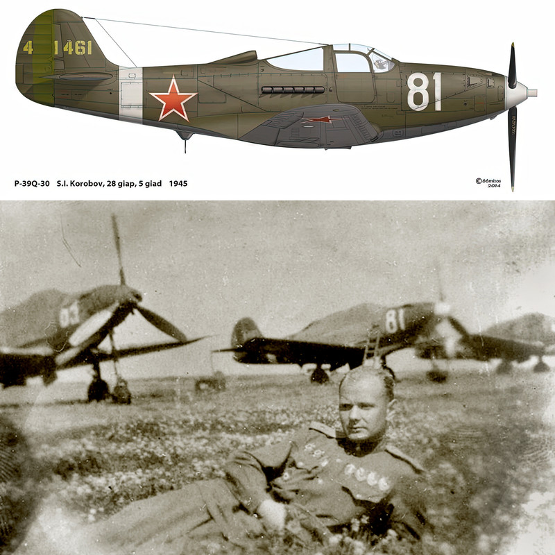 44-71461-Bell-P-39Q-Airacobra-28GvIAP-5GIAD-White-81-SI-Korobov-Baltic-and-Leningrad-Fronts-1945-01