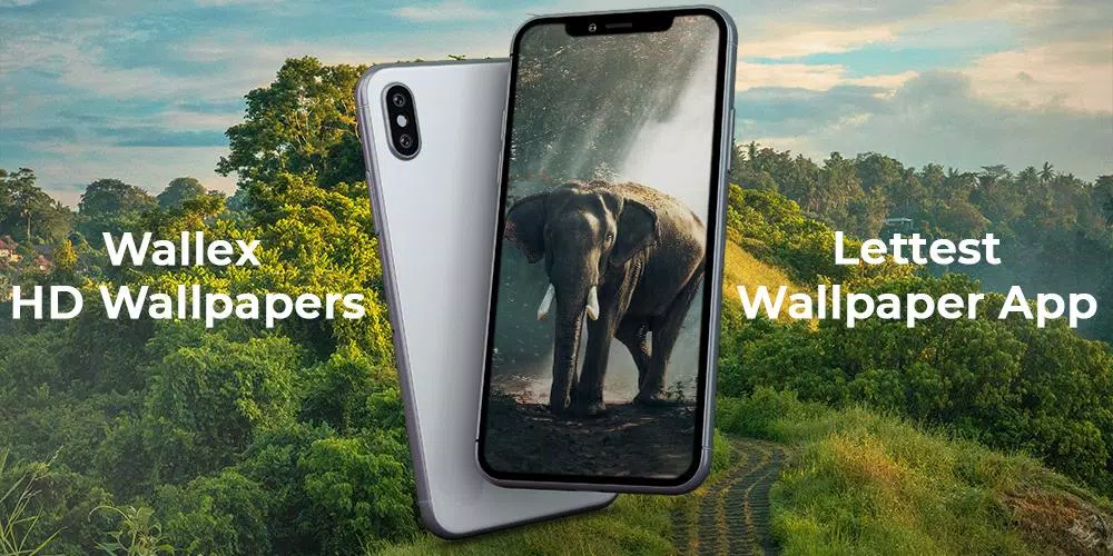 Walex Tech APK