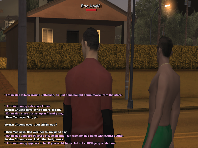 ss13.png