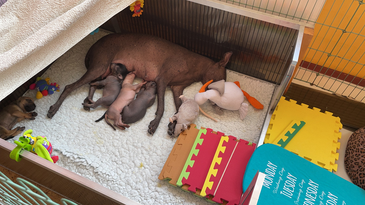 B77078A7-A89B-4812-A81B-C9B85B5BE5A9