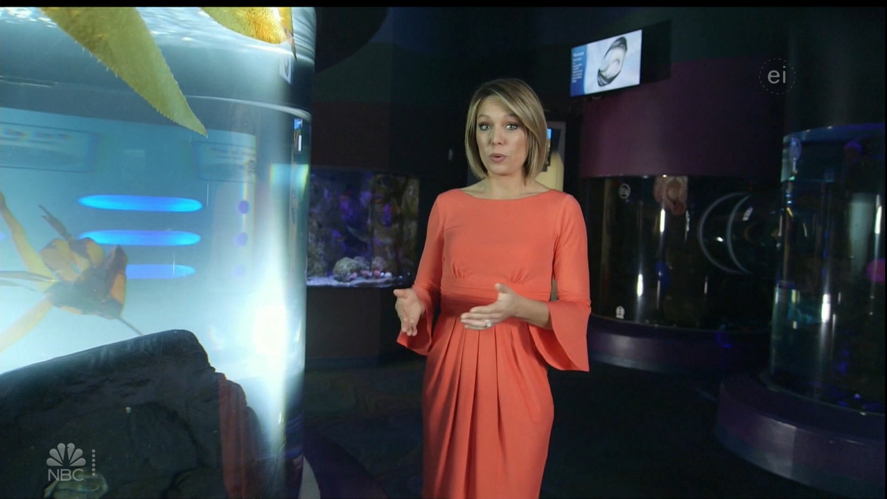 10.31 - 13.30.00 - NBC 4 Today..ts_snapshot_01.25.12.010