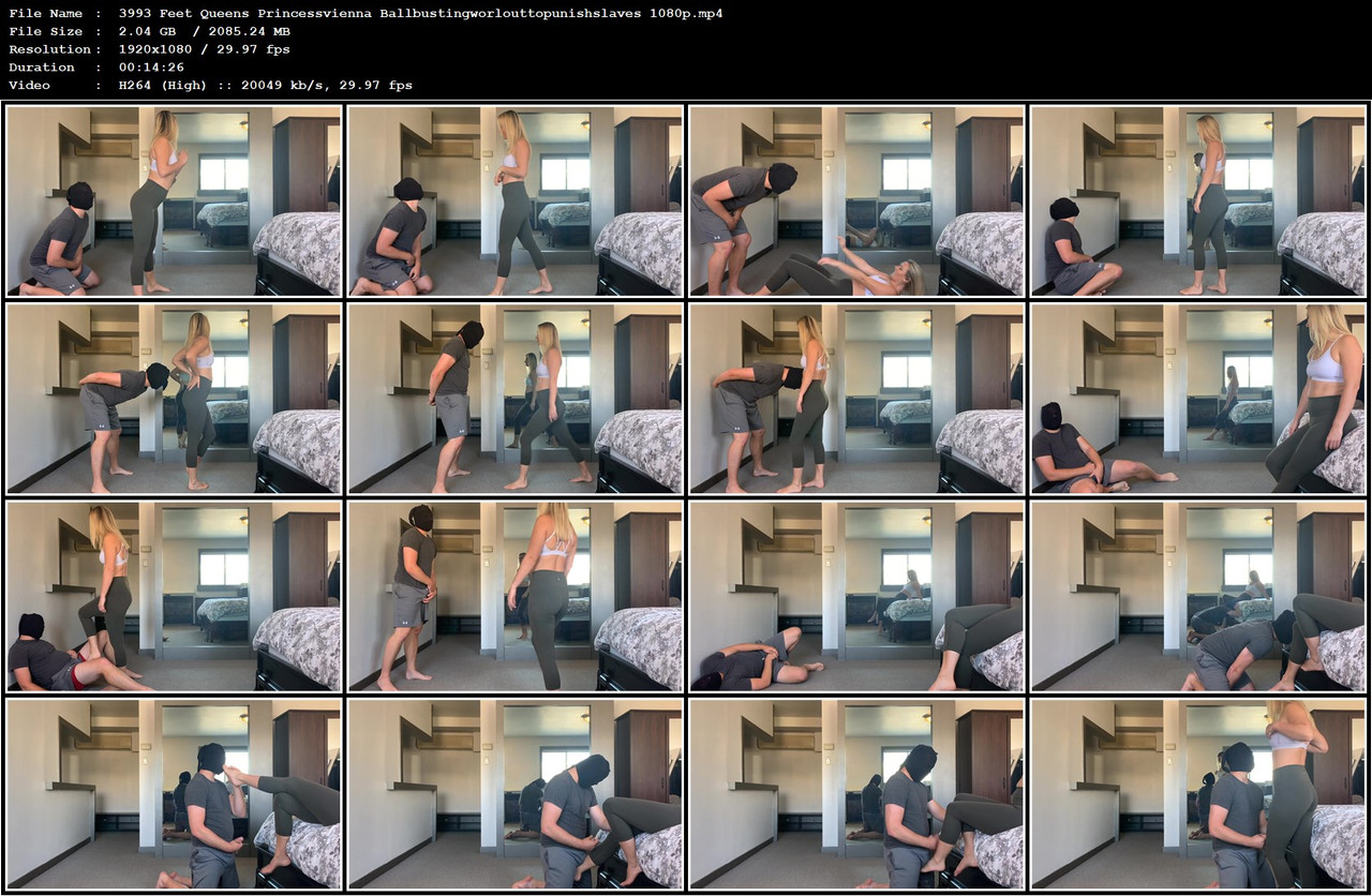 3993 Feet Queens Princessvienna Ballbustingworlouttopunishslaves 1080p mp4