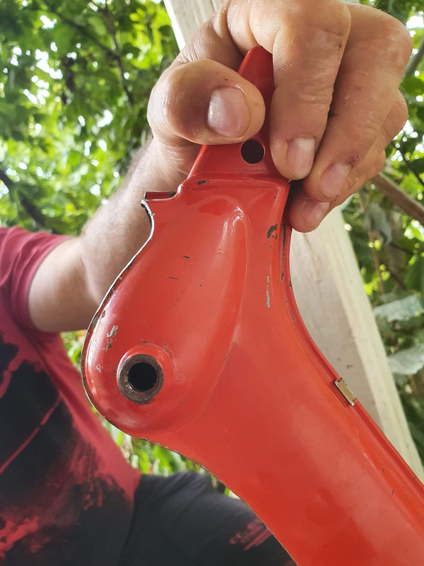 WhatsApp Image 2022-11-15 at 12.28.19 (1)