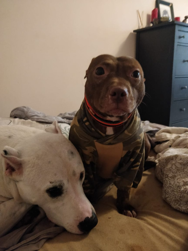 E8CC7558-2DF9-439C-9FA1-91135CFC9CEB