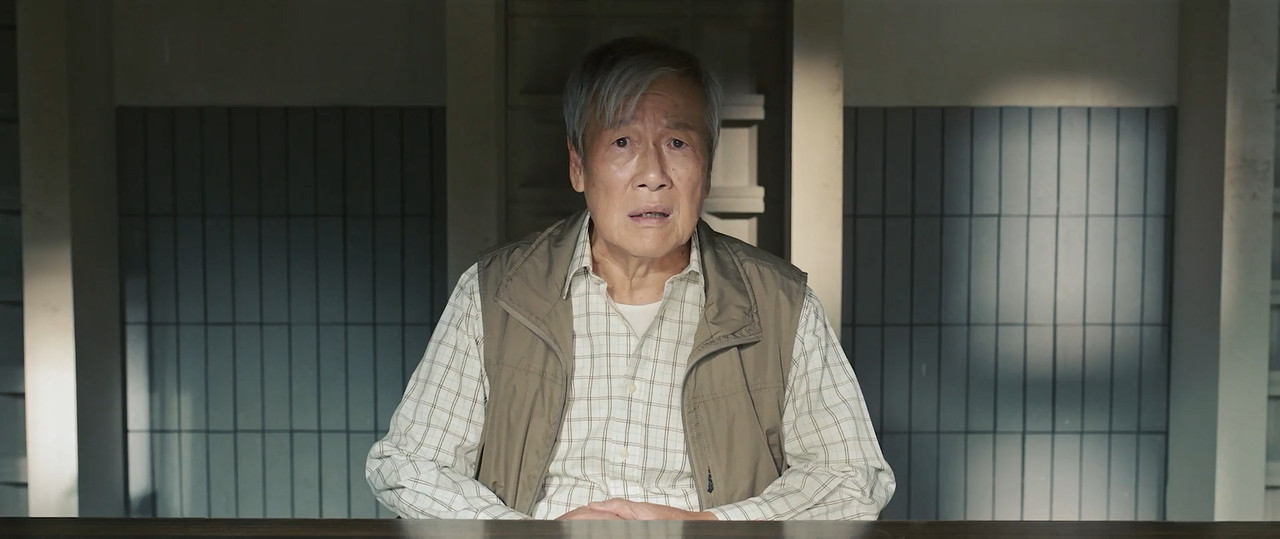 The Prosecutor 2024 BluRay [Hindi + Tamil + Telugu + Chinese] 480p 720p 1080p ESub Screenshot