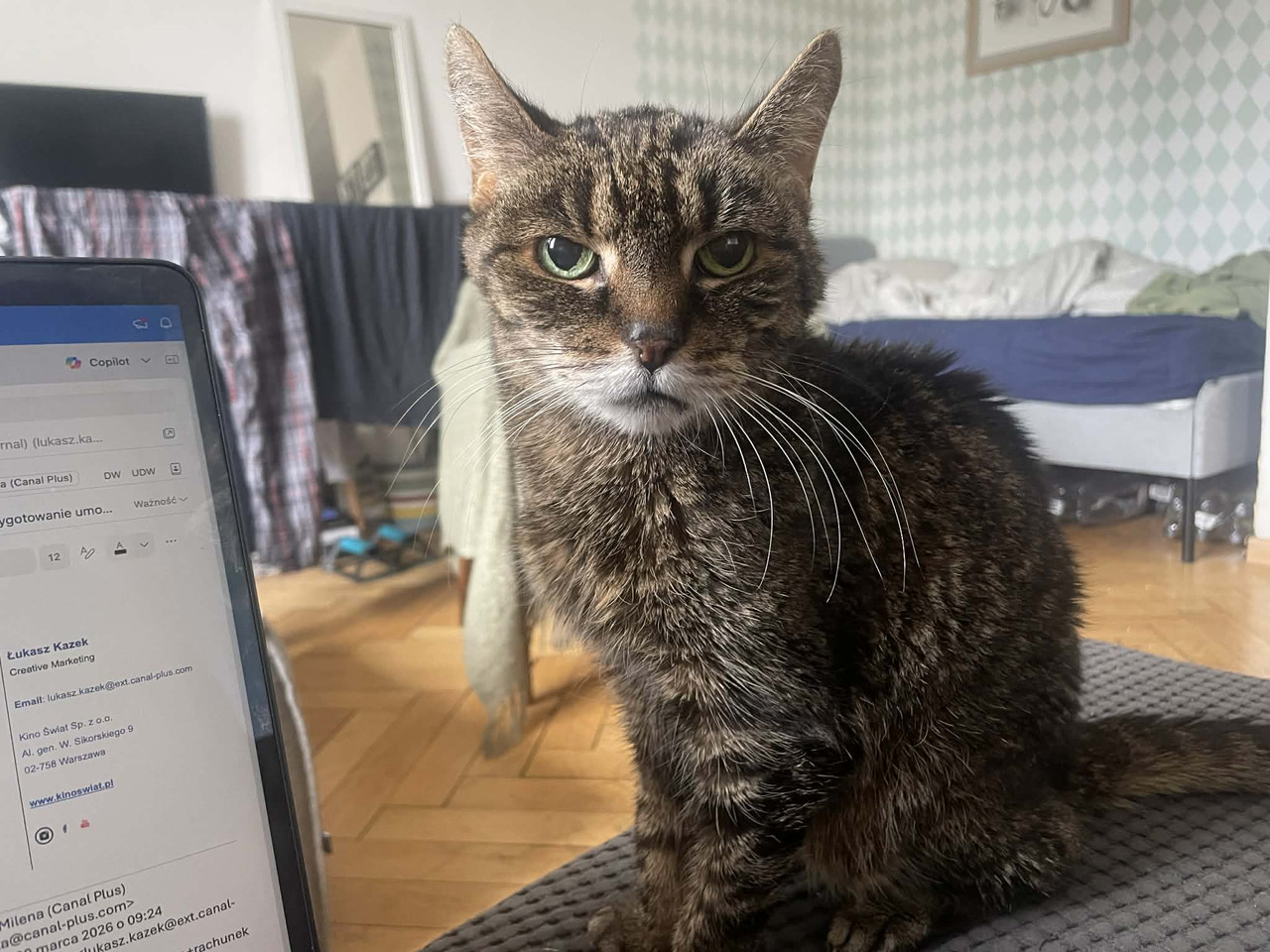 827fcae5 3627 45e5 a845 8844d2aa49aa