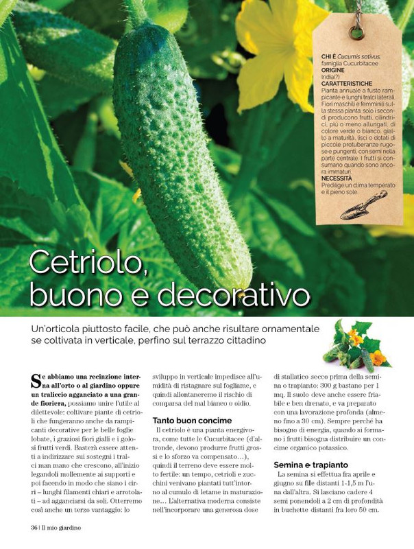 Il Mio Giar GIu-Lug 2023 (5)