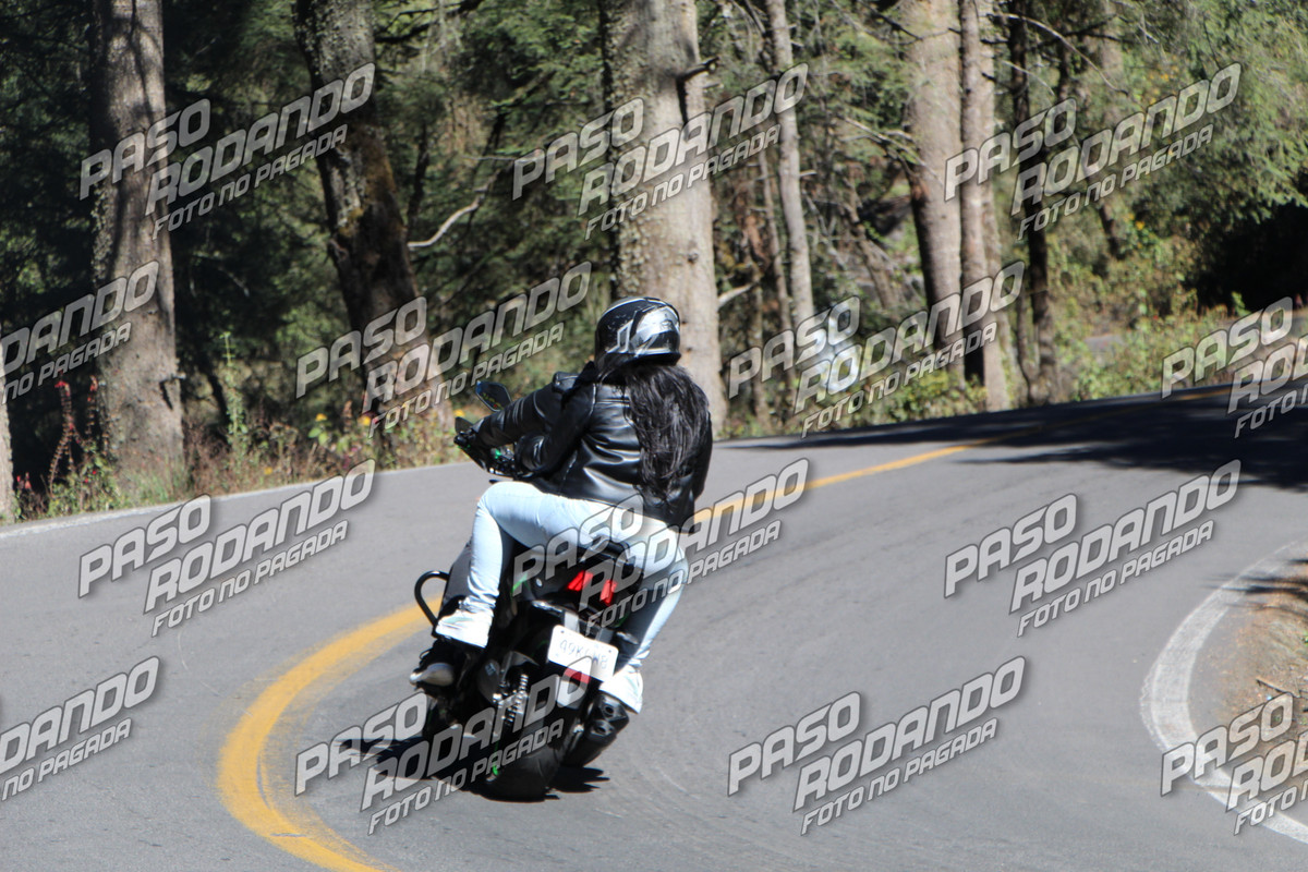 IMG 4454 wm 1958127 6 watermarked — Postimages