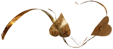 oie-i-S9-JOmv-Uc2-DX