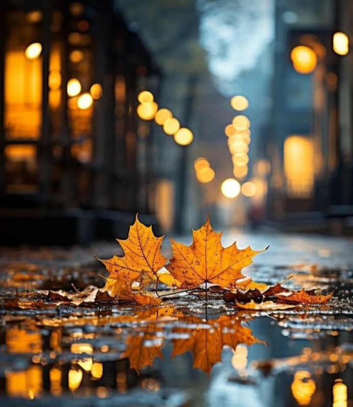 Screenshot_20231219_230839_Pinterest