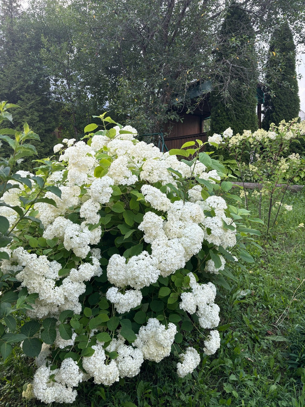 3QFKm B4pz JXc Z6UGGz JM6KW4h UUIBh Q1Dab MZh VN5wv Ifa Lvp9r8t ULt Khu TDNw7KWn ZBYfstn SX5t KYz P 