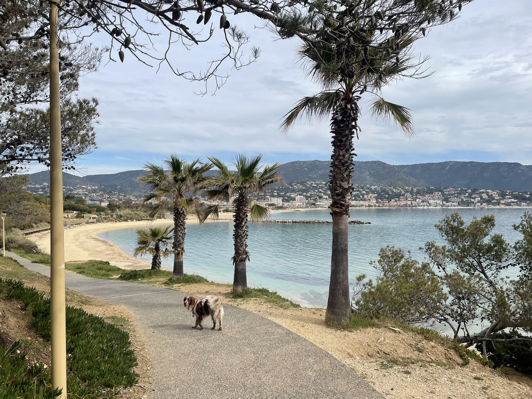 809D546C-DFC8-4FDC-8F8A-39C94B7CCA19