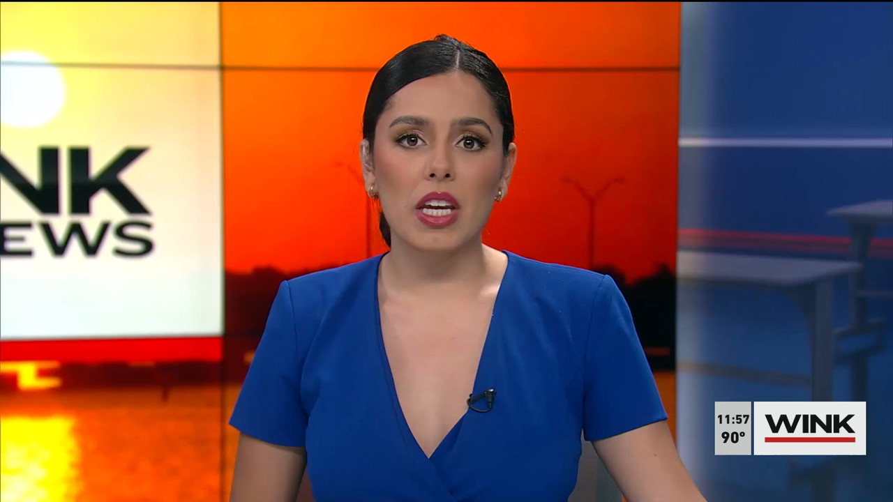 07.23 - 16.30.00 - WINK NEWS at 11 30am. Midday news..ts_snapshot_33.29.771