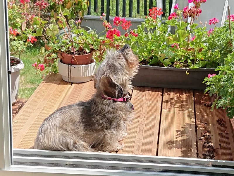 [Image: DSC-2857.jpg]