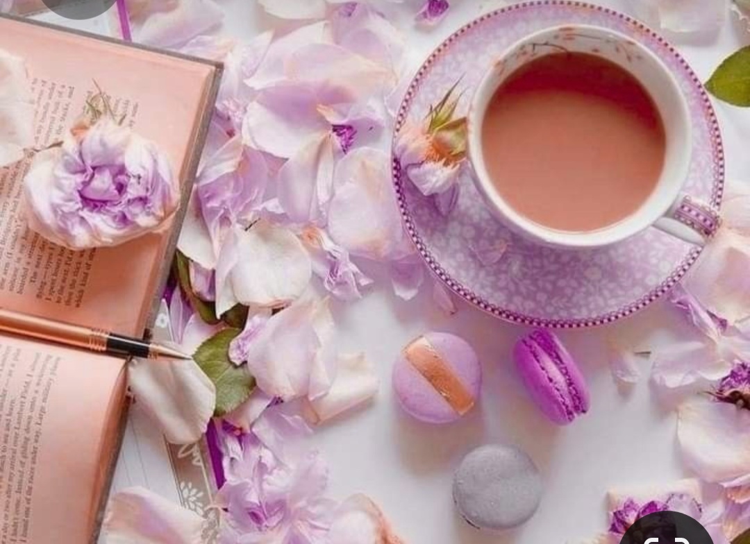 Screenshot_20230315_225424_Pinterest