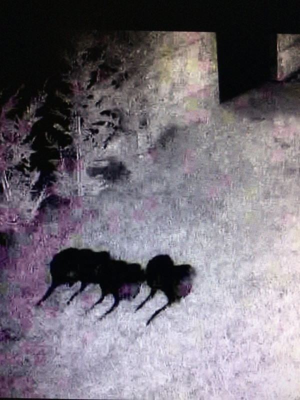 059154B0-4E1F-404F-B132-B8D09E5CA19A