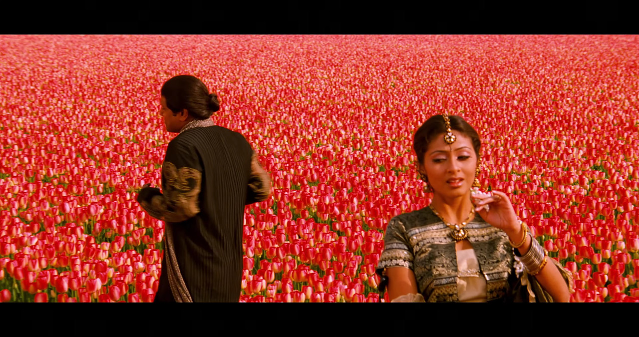 VideoCapture_20241122-200627