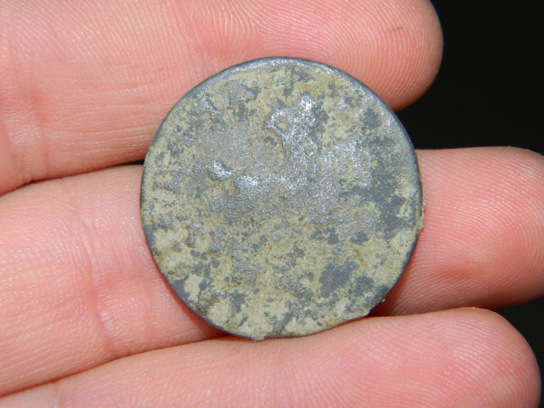 kopek 019