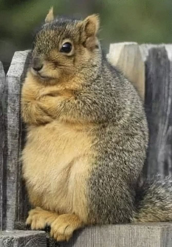 [Image: FB-IMG-1738716223686.jpg]