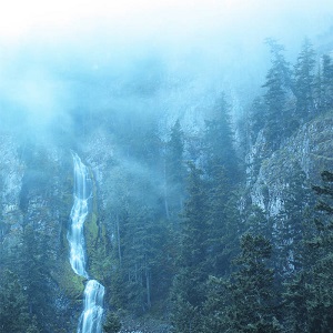 Wolves in the Throne Room (USA) / Black Metal