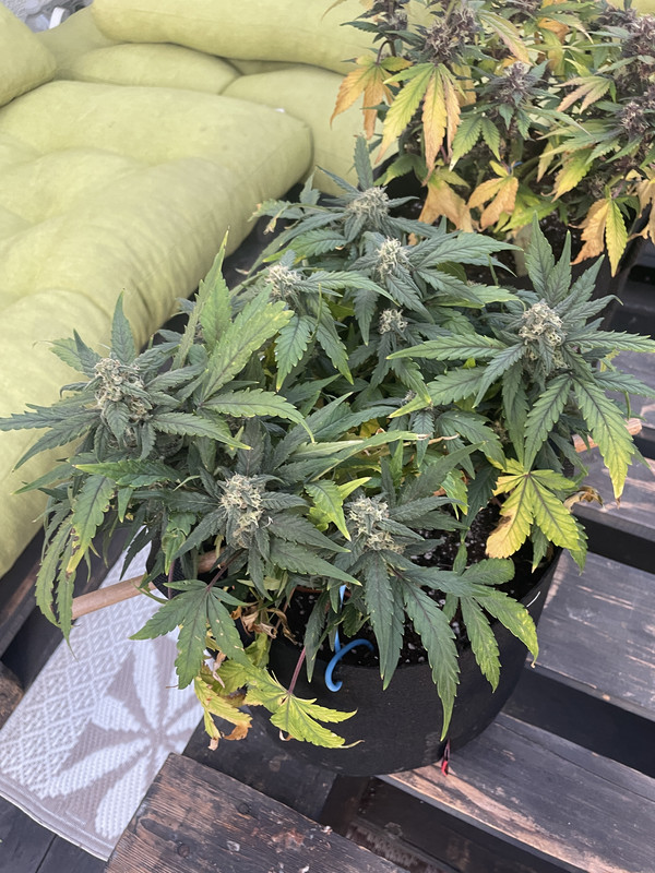 0F2E75E6-2688-4E73-892F-9F4E7A81223A