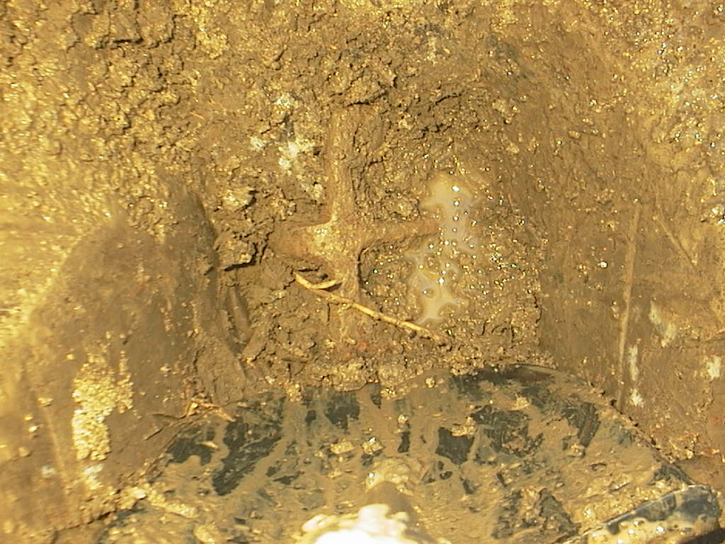 päivänlöydöt15.03.2016 004