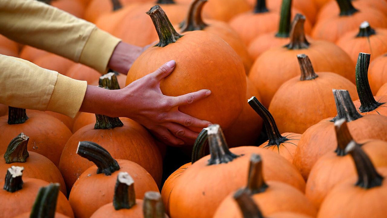 Halloween fue el día más violento en México, asesinaron a 106 personas