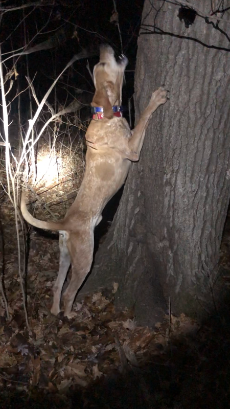 8A579D39-5C42-4C71-83D9-C029F6BA9AFA