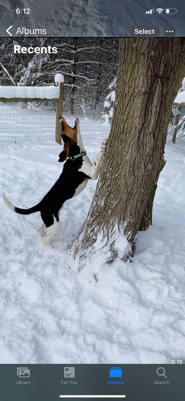 2B8BB642-0791-494A-937A-EBABF6989923