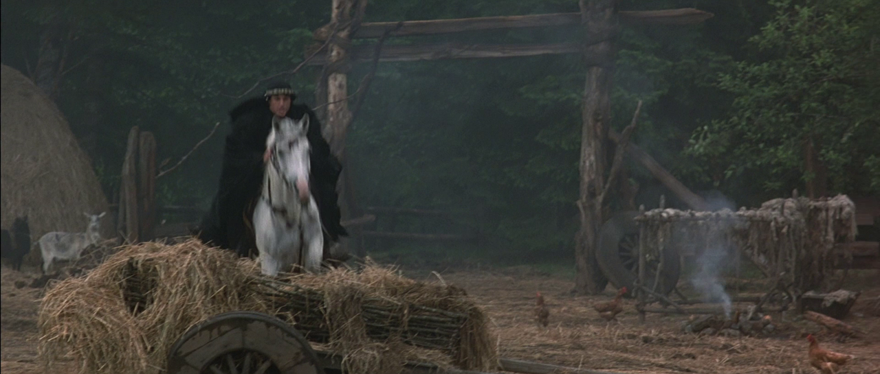 vlcsnap-2022-11-27-23h33m44s073