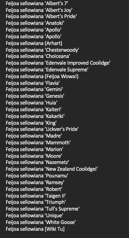 Screen Shot 2023-03-03 at 5.50.33 PM