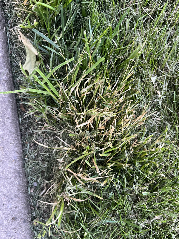 7044CD6B-C69B-4E2C-AF4F-94EF528F562B