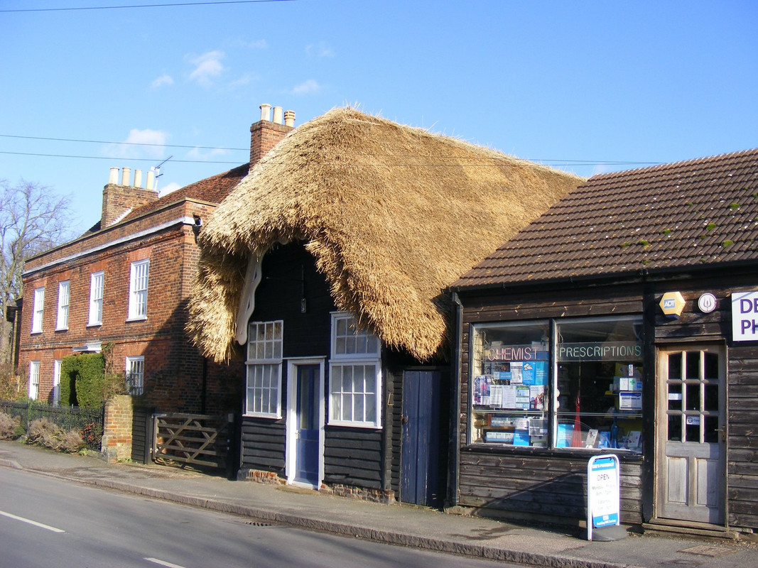 DSCF6503.jpg