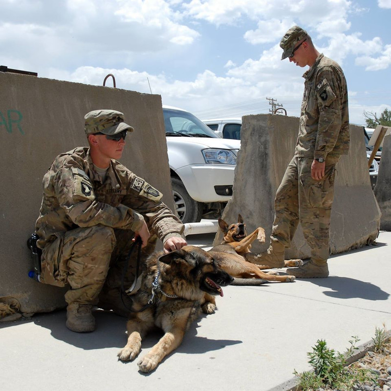 11782260_843157825781189_6966118748966689236_o