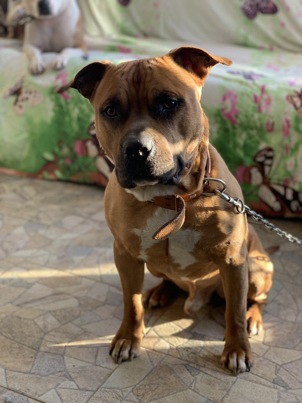 7BD5CB27-4ED3-4E79-8594-66C9603B2262