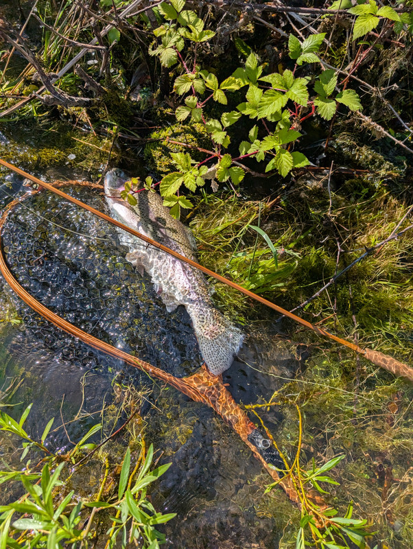 PXL_20250609_170242994